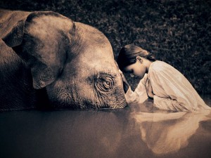 girl and elephant