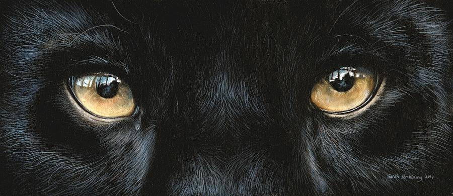 black-panther-eyes-sarah-stribbling