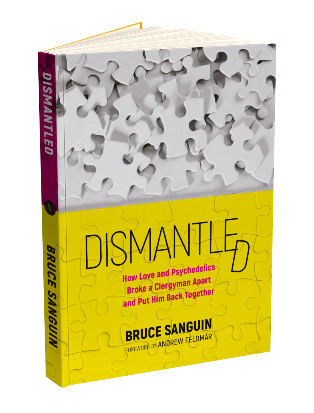 Dismanteled by Bruce Sanguin