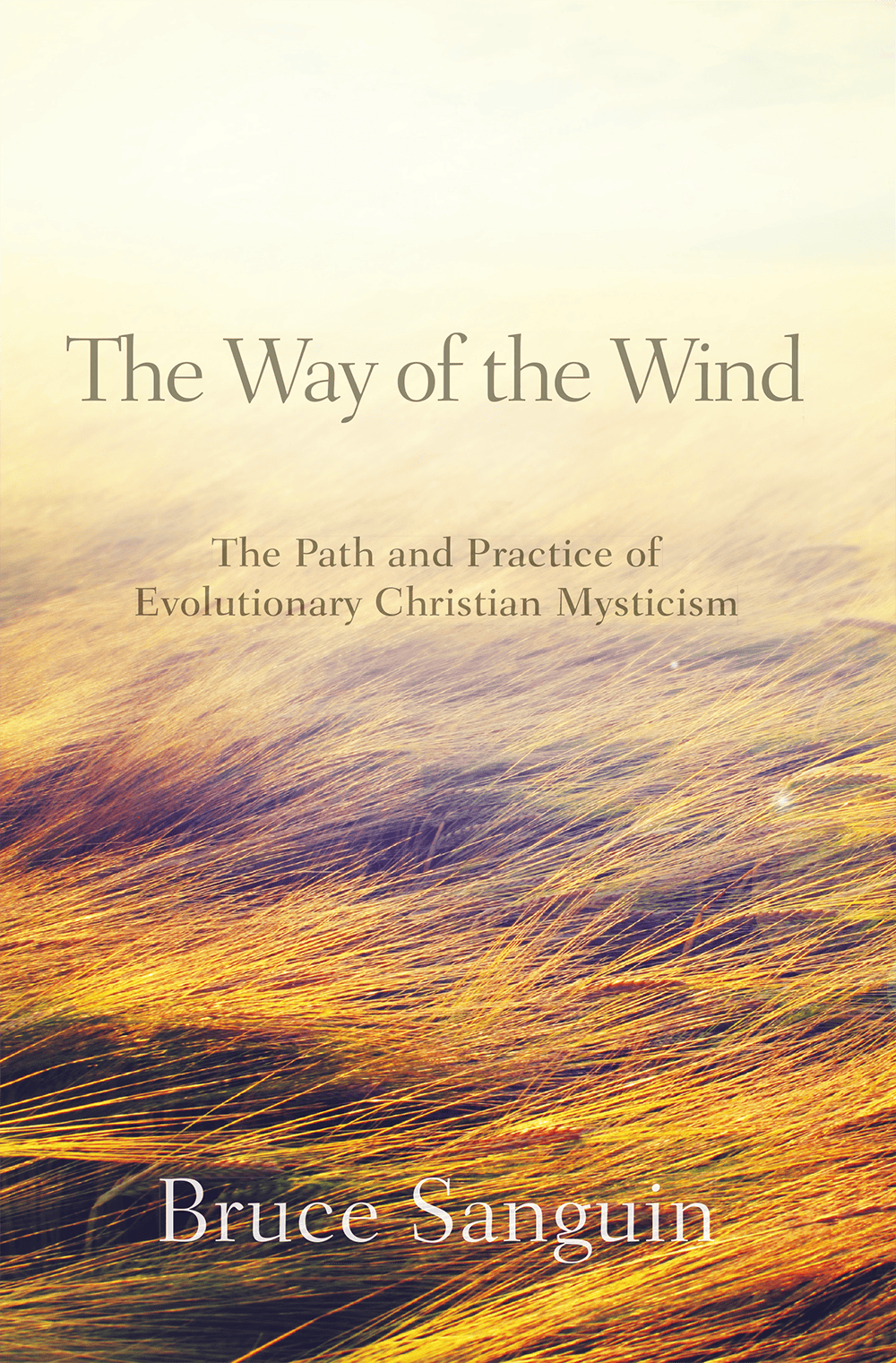 The Way of the Wind by Bruce Sanguin Book Cover